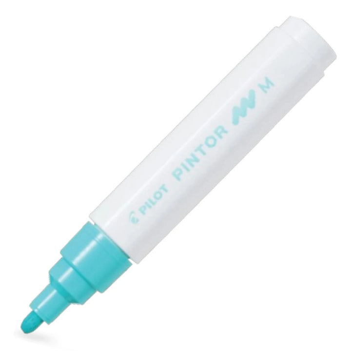 PILOT SW-PT-M-PG PİNTOR (M) -PASTEL YEŞİL