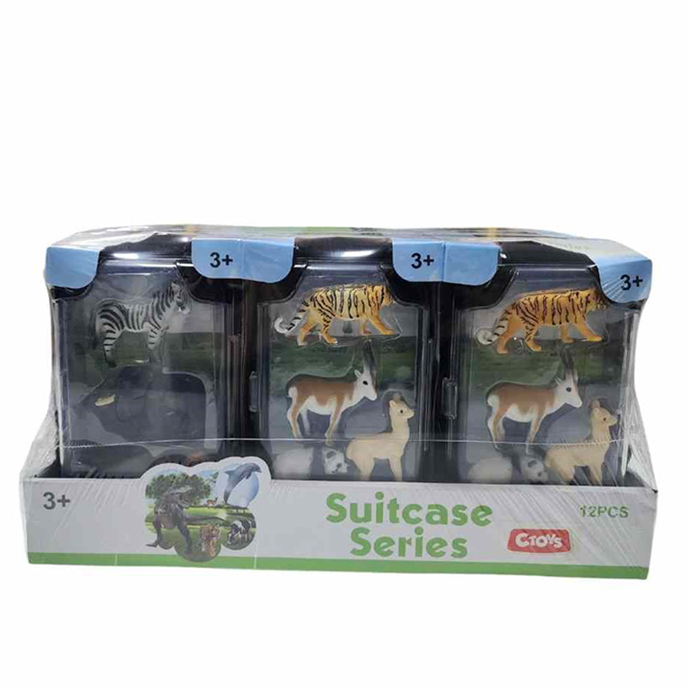 SUİTCASE SERİES