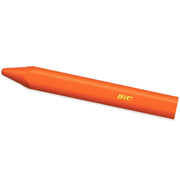BİC 12'Lİ PLASTİK BOYA