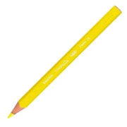 BİC 12'Lİ JUMBO BOYA KALEMİ