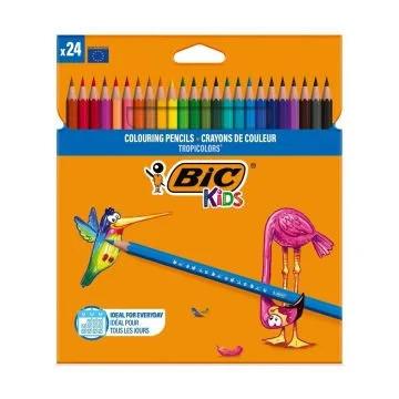 BİC 24LÜ BOYA KALEMİ