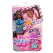 BARBİE DREAM  BESTİES